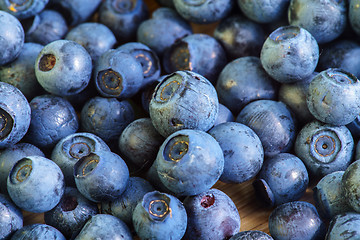 Image showing Bilberry Close Up