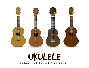 Image showing Ukulele vector illustration on white backgroiund