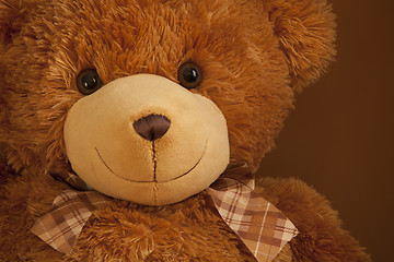 Image showing  teddy-bear huge eyes smiling