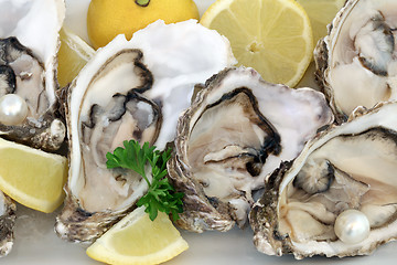 Image showing Oysters and Lemon