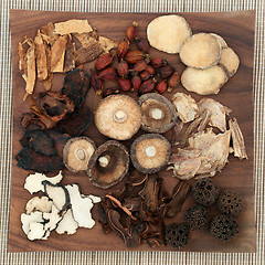 Image showing Chinese Herbal Medicine