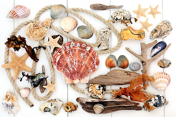 Image showing Natural Seaside Objects