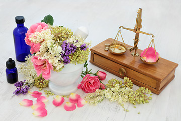 Image showing Apothecary Flowers and Herbs