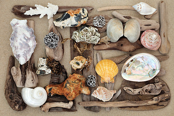 Image showing Seashell Driftwood and Rock Abstract