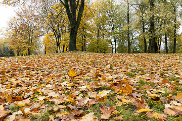 Image showing Park in the fall