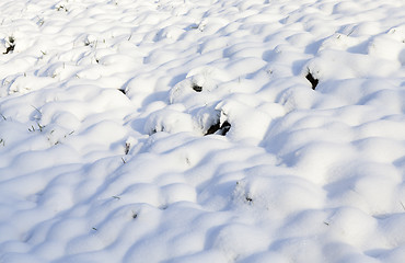 Image showing snow drifts, close-up