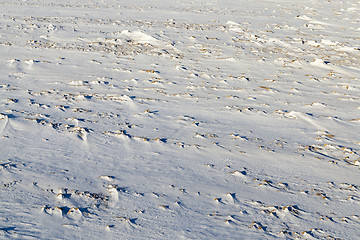 Image showing land covered with snow