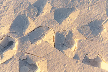 Image showing tracks in the snow
