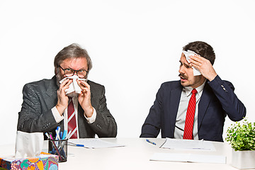 Image showing The two colleagues working together at office on white background.