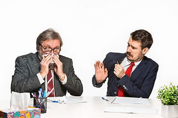 Image showing The two colleagues working together at office on white background.