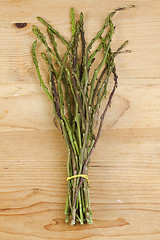 Image showing Wild Asparagus Bunch