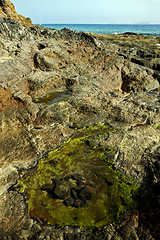 Image showing musk pond beach  in lanzarote spain