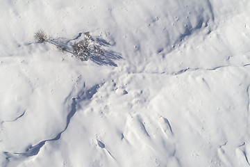 Image showing Snowy landscape