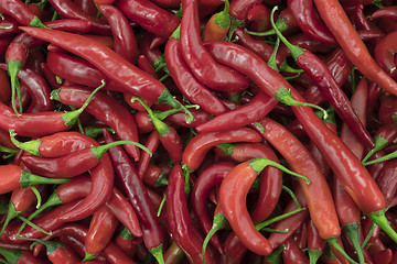 Image showing Red peppers