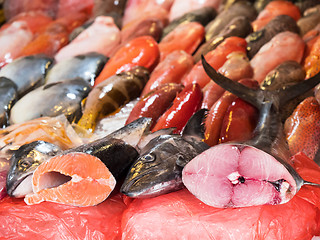 Image showing Fish at a fish market