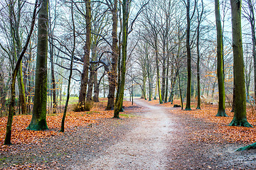 Image showing Hirschpark, Hamburg, Germany