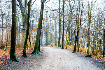 Image showing Hirschpark, Hamburg, Germany