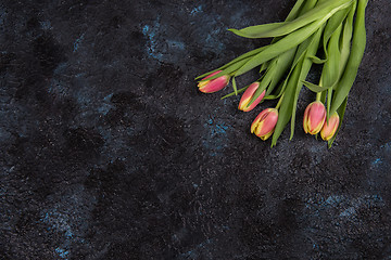 Image showing Tulips on darken concrete background