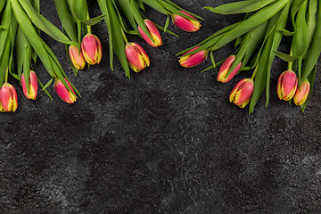 Image showing Tulips on darken concrete background