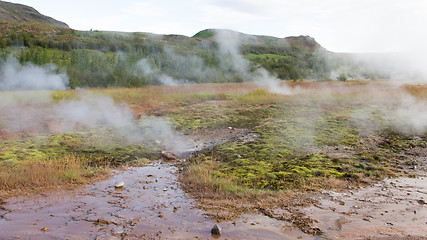 Image showing Geothermally active valley of Haukadalur