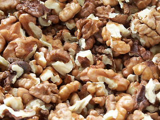 Image showing Walnuts