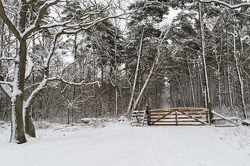 Image showing Stile with a wooden gate in a snowy forest