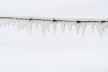 Image showing Ice covered barb wire