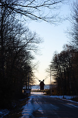 Image showing Windmill at the end of the road