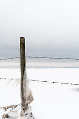 Image showing Icy fence post with barbwire