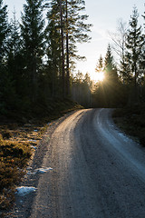 Image showing Dirt road in evening sunshine