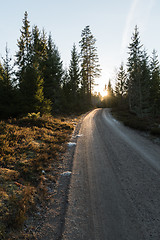 Image showing Evening sun by a gravel road