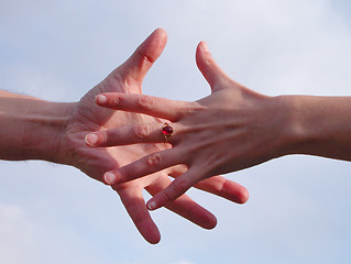 Image showing Hands