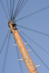 Image showing Phone pole