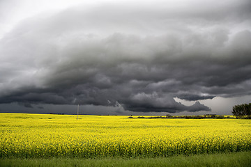 Image showing Storm Clouds Saskatchewan