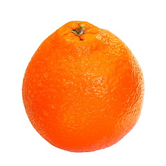 Image showing orange over white