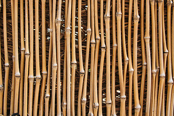 Image showing Bamboo Texture