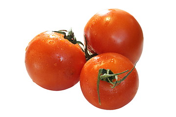 Image showing three tomatoes isolated over white