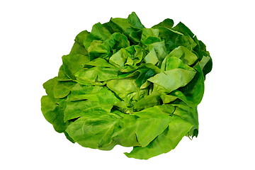 Image showing isolated green salad