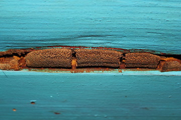 Image showing fungal mold on old spruce planks