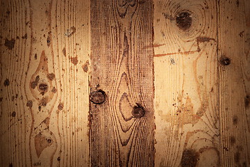 Image showing beautiful spruce wood texture