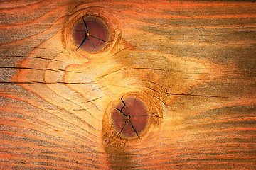 Image showing knots on fir plank surface