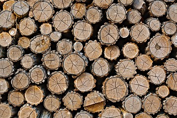 Image showing Log wood pile