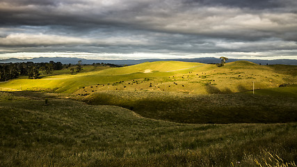 Image showing sunset landscape with cows