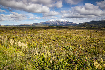 Image showing Mount Ruapehu volcano in New Zealand