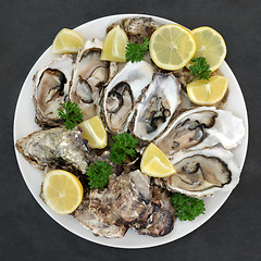 Image showing Oysters Lemon and Parsley 