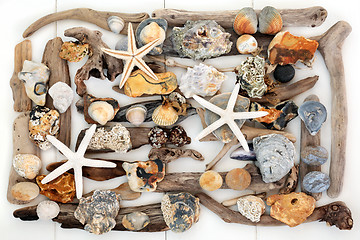 Image showing Natural Objects from the Beach