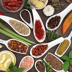 Image showing Culinary Spice and Herb Seasoning