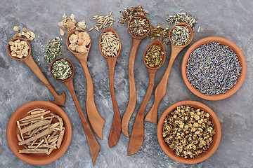 Image showing Healing Herbs for Sleeping Disorders