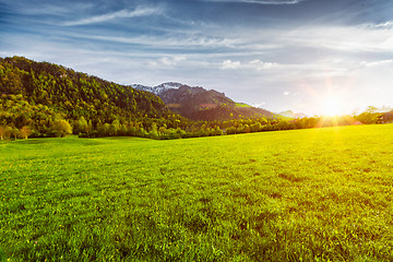 Image showing Alpine meadow in Bavaria,  Germany