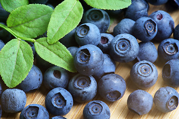 Image showing Bilberry Close Up